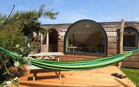 De Hut, In Natuurgebied En Vlakbij Het Strand