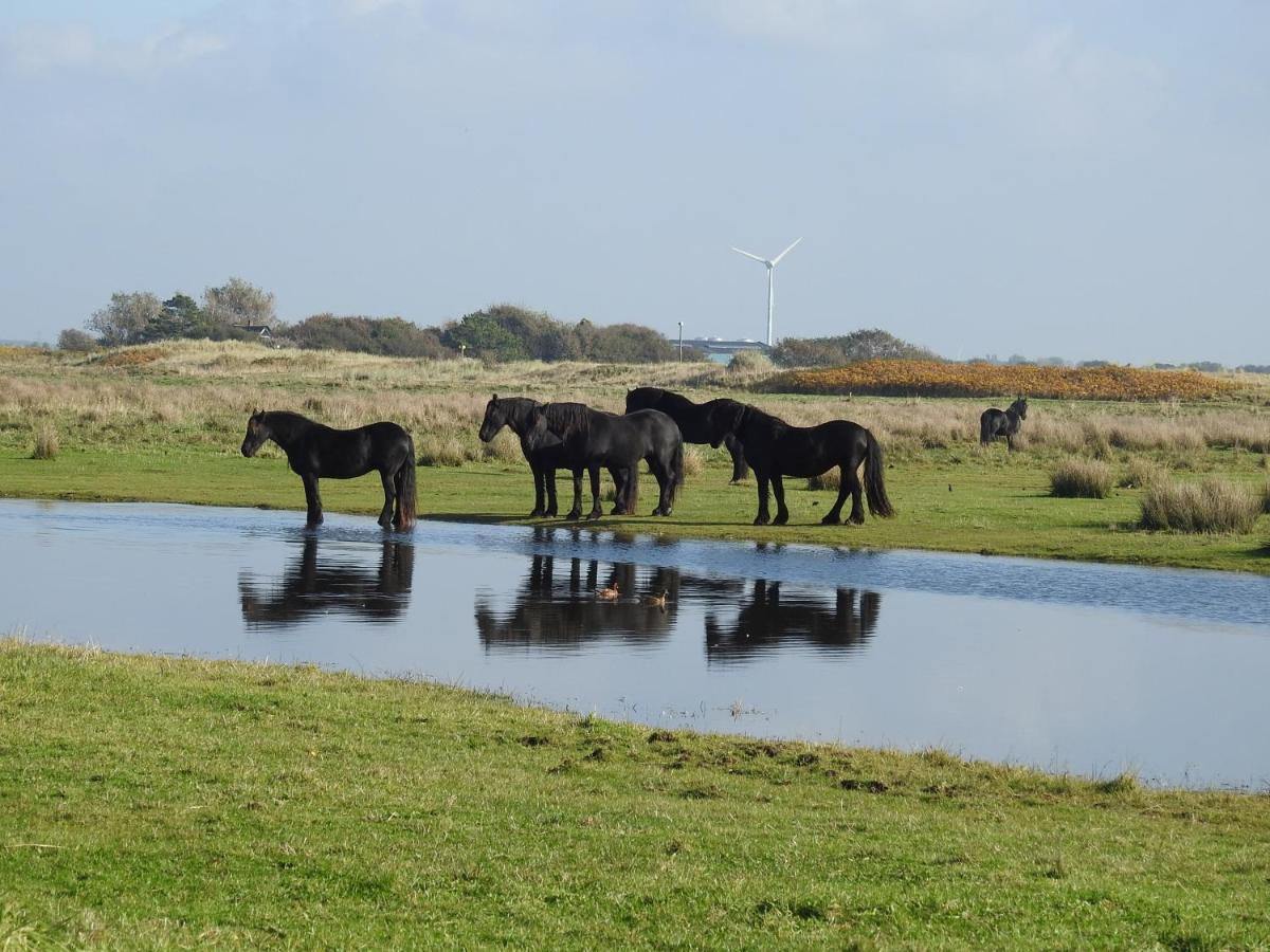 De Hut, In Natuurgebied En Vlakbij Het Strand Callantsoog Exterior foto